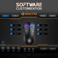 ADS_ASURA ERGO_GAMING MOUSE_05.jpg - MOUSE (เมาส์) NEOLUTION ASURA ERGO BLACK | https://begroove.co.th